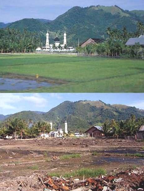 The image of the mosque as the only building left standing in Banda Aceh after the tsunami suggests that the architecture