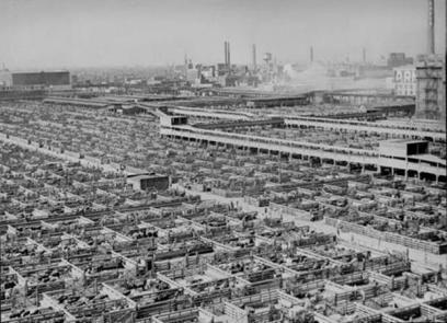 Chicago Stockyards Set up to facilitate transfers between east and west First, live animals Later