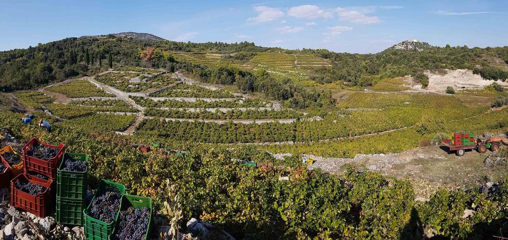 Centuries of winemaking on the peninsula resulted in some of the best wines in the world.