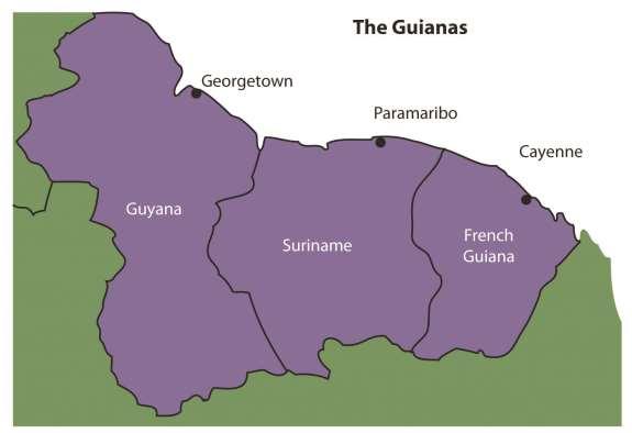 Colonialism and the Guianas The Guianas in the northeast were the only European colonies in South America that were not under Spanish or Portuguese control.