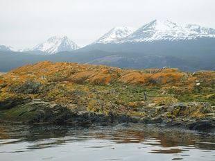 Day 13 TIERRA DEL FUEGO NATIONAL PARK Today, explore the wonders of Tierra del Fuego National Park, an area of pristine lakes and native forests exhibiting a