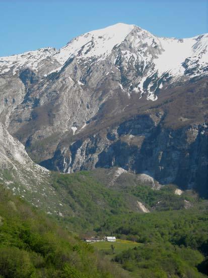 2 Slika 1: Dolina Tolminke s planino Polog V sami dolini je še nekaj negozdnih površin, ta so nastala zaradi stalne naselitve ljudi.