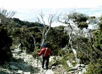 KINABALU CLIMBING VIA FERRATA WALK THE TORQ Min: 2 person Accommodation: Pendant Hut Dormitory Transport: All Land Transport Meals: Full Board Tour: Tour Start & End in Kota Kinabalu which includes