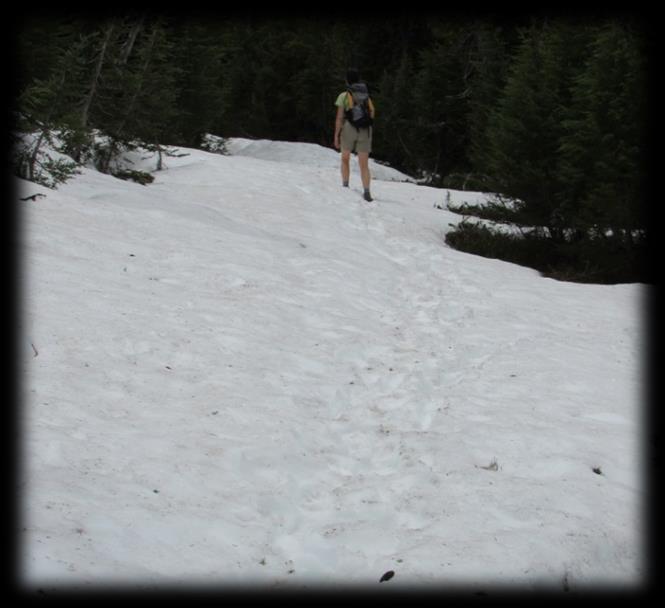 Summer Trail Access and Conditions Update Updated June 30, 2017 Trails near snow lines (approx.6,000-7,000 ) are likely muddy.
