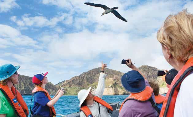 GALÁPAGOS 10 DAYS/9 NIGHTS ABOARD NATIONAL GEOGRAPHIC ENDEAVOUR II A blue-footed booby soars overhead.