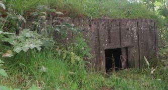 Pillbox in woodland to South of King George In overgrown wood with difficult access.