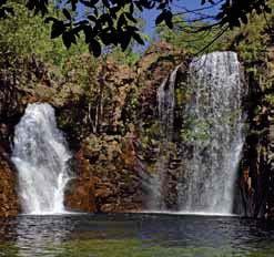 Travel to Litchfield National Park; see its spectacular scenery, picturesque waterfalls and lush rainforest.
