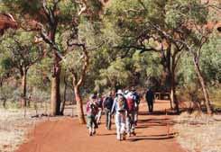 Visit the Amphitheatre, Lost City and the Garden of Eden. (BLD) Day 4: Oak Valley and West MacDonnell Ranges Today depart for the West MacDonnell Ranges.