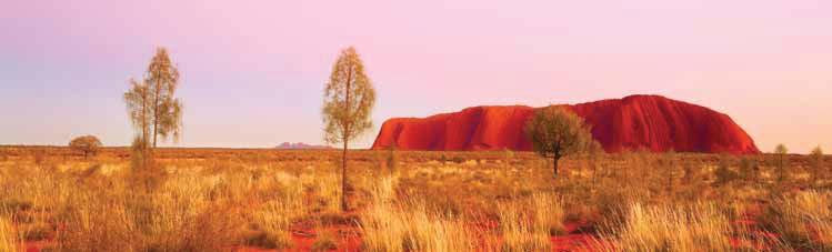 sight of sunrise over Uluru and Kata Tjuta. Enjoy a light breakfast around the fire as your guide explains the retreating star-scape above.