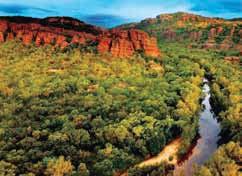 Local guide Yellow Water Billabong Cruise Nourlangie Rock art site Lunch at Cooinda Lodge Daily from Darwin Transit Centre at 6:15am 7:30pm Adult $252 Concession $227 Child 2-15 years $127 National