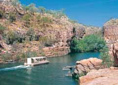 After lunch join a scenic cruise through Katherine Gorge in Nitmiluk National Park, spot fresh water crocodiles sunning themselves on the river banks.