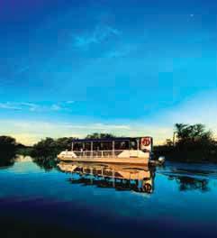 Search for Saltwater crocodiles and the colourful range of birdlife for which this region is renowned.