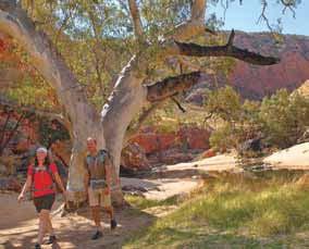 Accommodation Index ACCOMMODATION ACCOMODATION INDEX Kuniya Walk, Uluru-Kata Tjuta National Park PROPERTY PAGE PROPERTY PAGE PROPERTY PAGE Central Australia Alice in the Territory...15 Alice on Todd.