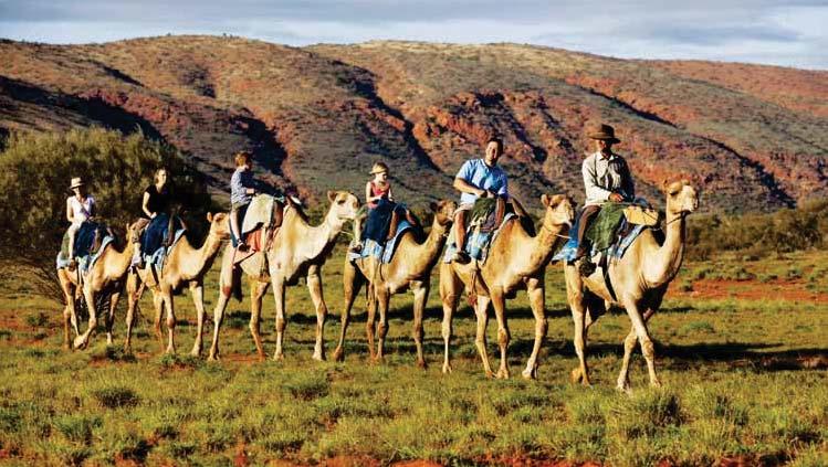 Travel Tips Camel Tour, Alice Springs How to Get There BY AIR: Sydney Airport is the gateway to the Northern Territory and Air New Zealand operates flights from Auckland and Christchurch twice a week.