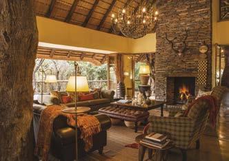 Lounge Dining room Bar Boma and viewing deck next to the water hole under an ancient Fig Tree Superb South African wines Wooden viewing