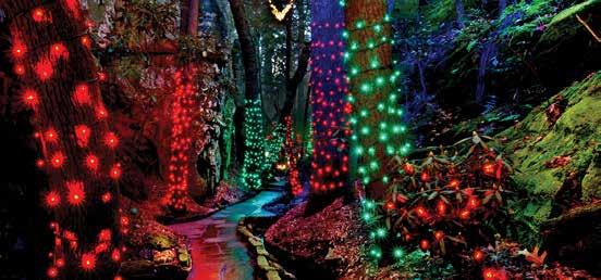 Holiday Trail of Lights Rock City s Enchanted Garden of Lights Tennessee Aquarium s Holidays Under the Peaks & Polar Express 3D in IMAX Head high atop Lookout Mountain to the award-winning, 23rd