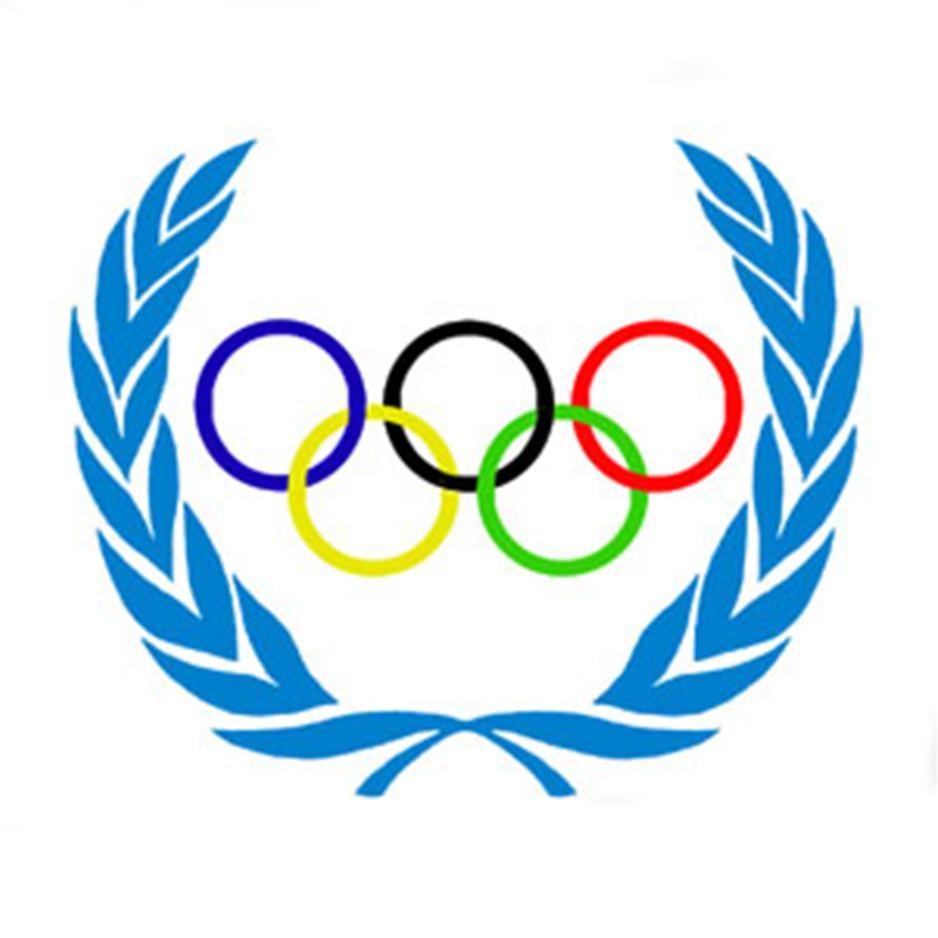 Olimpijski krugovi su prvi put predstavljeni na Olimpijskim igrama u Antverpenu, 1920. godine.