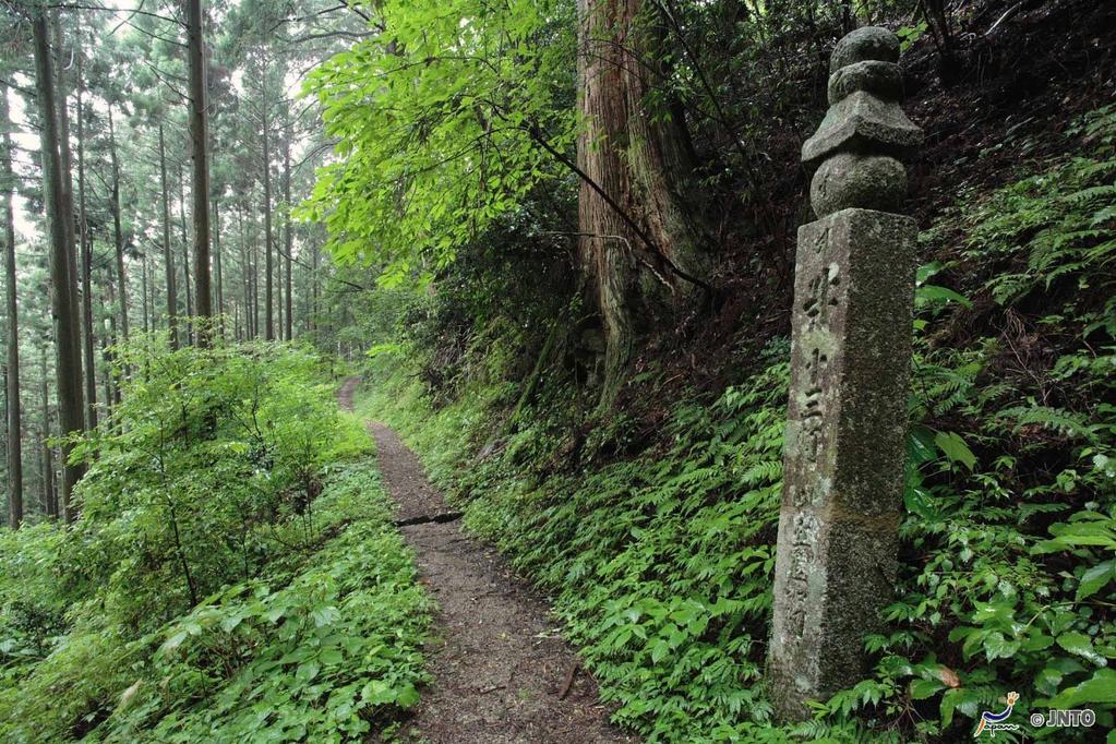 Japan: Shikoku Pilgrimage Temple Trail A106 Kilometre forest walk from Koyasan to Kagawa on the sparsely populated Island of Shikoku, which is just a short hop from Osaka.