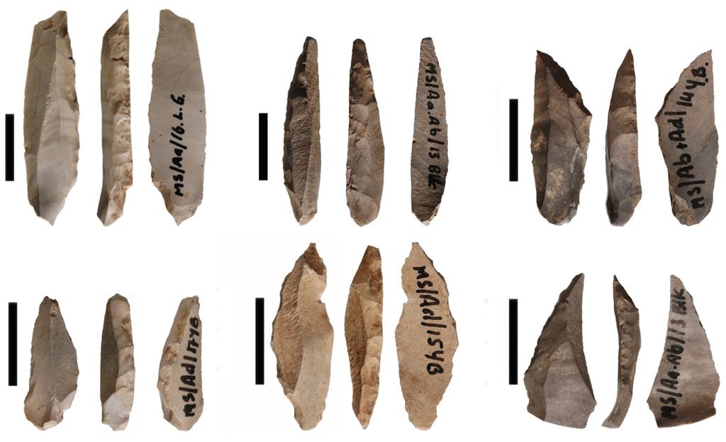 STONE TOOLS INDICATE CHANGE OVER TIME e.g. BACKED ARTEFACTS Backed artefacts.
