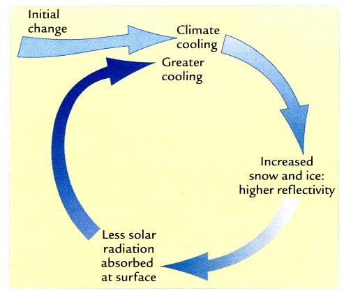 Albedo snega/ledu pozitivna povratna zanka v obratni smeri Albedo ledu in snega je znatno večji, kot odbojnost vseh drugih površin.