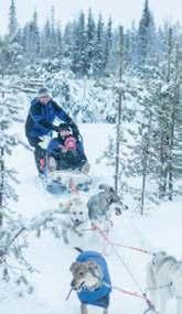 4 night Magical Sojourn to Pyha Your Search for includes: Journey to the Magical Post Office Meet the Elves at home 90 minute reindeer experience 90 minute husky experience Snowmobile and sleigh ride