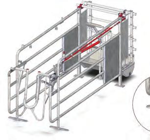 65 mm Front gate: Side hinged Rear gate: Top hinged Closing system: Integrated into the stall side Quality: Hot galvanized Water supply: 1 galvanized or stainless steel pipe Water inlet: 1/2