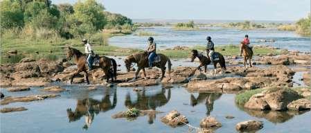 Horse-riding Horse riding trails from a bush farm property which overlooks the Zambezi River (located about 6 km's up stream from River Club). The rides are either 2 hours or half-day with lunch.