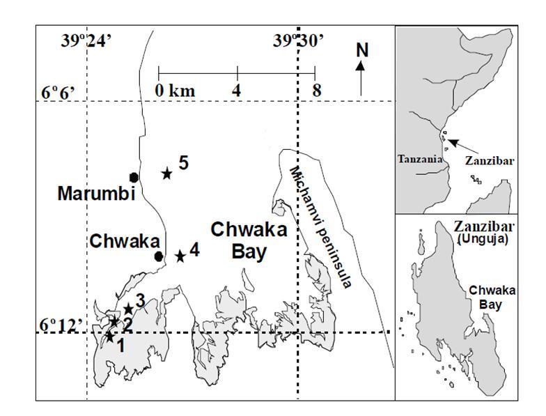 Figure 1. Map of Chwaka Bay showing location of 1 & 2 mangrove area, 2-mudflats 3 & 4 seagrass beds.