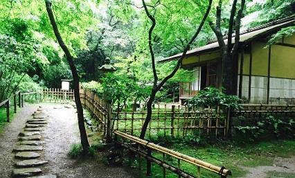 Kyoto's old Tomyoji Temple.You can also experience tea ceremony at here.