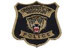 06/03/2013 06/03/2013 Case Assignments: Assigned Officer Assignment Date/Time Assignment Type Assigned By Officer Due Date/Time 24-Patlan 11/12/2012 00:00 Follow-up Patrol Officer 12-Spalding