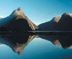 Then board a small boat for an extended nature cruise on Milford Sound. Afterwards visit the Milford Discovery Centre.