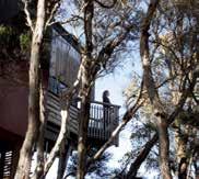 Family Tree House adult prices apply. Max Capacity: Lodge Room/Hapuku Room/Upper Branch Tree House 2, Lodge Suite 3, Family Tree House 4. Distances: Kaikoura 12km.