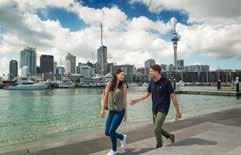 Custom engineered walkways provide a safe, enjoyable and easy-going experience while you listen to full commentary from your tour guide and enjoy the great photo opportunities and view Bungy Jumping