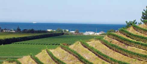 Hawke's Bay & Eastland HAWKE'S BAY & EASTLAND SIGHTSEEING & ACCOMMODATION Estate Full Day Winery Tour Napier Hawke s Bay is known as Wine Country, so why not join this expert tour, where you will