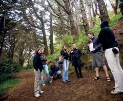 Hear informative and inspiring stories about the natural environment, Maori culture and history.
