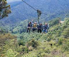 A combination flying fox and chairlift will have you soar in a four person carriage over one kilometre across a native forest valley reaching speeds up to 100 kilometres per hour, travelling both