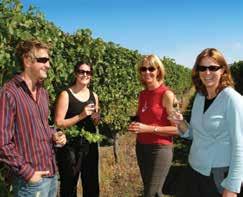 Privately hosted wine tour Wine tasting fees Informative commentary Air-conditioned vehicle Expert guide Pick-up from Picton or Blenheim accommodation Operator: Marlborough Tour Company Departs:
