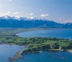 Next, continue to a seal colony before heading into Kaikoura for some free time to explore and enjoy lunch. Then board a modern catamaran for an exciting Whale Watch tour.