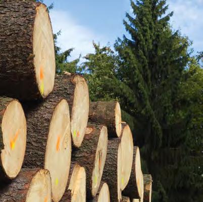 You meet decision makers from worldwide leading sawmills and globally operating timber trading companies Whilst the presentations of the conference, you get first-hand information on the current