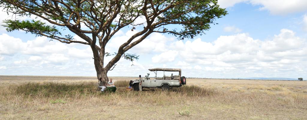 YOUR HOLIDAY GUIDE TO FACTS & ADVICE Tanzania is one of the ultimate safari destinations.