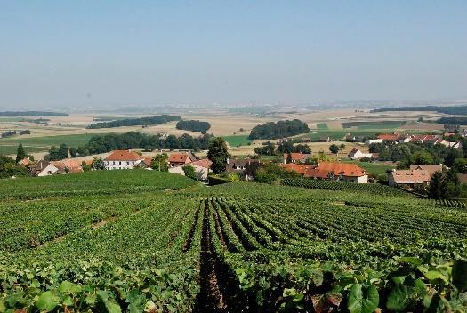 Mon 19 Lille Reims (B) Today drive to the Champagne region. Visit Hautvillers the birth place of Champagne and continue to the Vernezay lighthouse Champagne Museum.