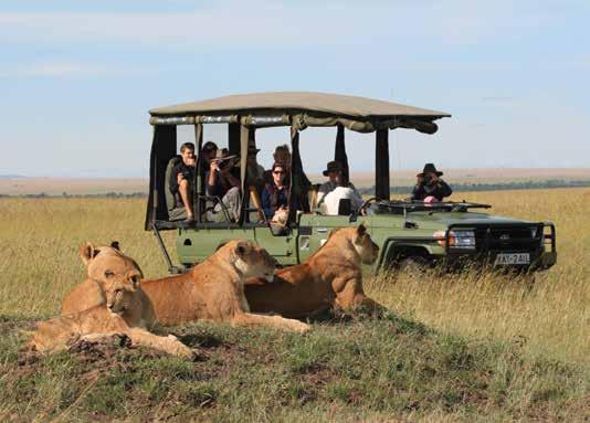 As part of the Serengeti ecosystem, the Masai Mara plays host to one of earth's greatest wildlife spectacles.