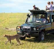 (premium drinks excluded), shared game drives* by 4WD vehicle, Flying Doctors fee, park fees & taxes. Luggage limit: 15kgs. *Private vehicle and guide can be arranged (additional cost).