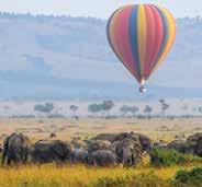 of the first camps in the Mara to see the annual wildebeest migration, Sala s Camp also boasts great gameviewing all year round being so close to the confluence of two major rivers.
