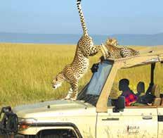 FLY-IN LODGES Mara Explorer MARA INTREPIDS & MARA EXPLORER 3 days/2 nights from $1676 per person Operated by Heritage Hotels, Mara Intrepids and Mara Explorer are two exclusive