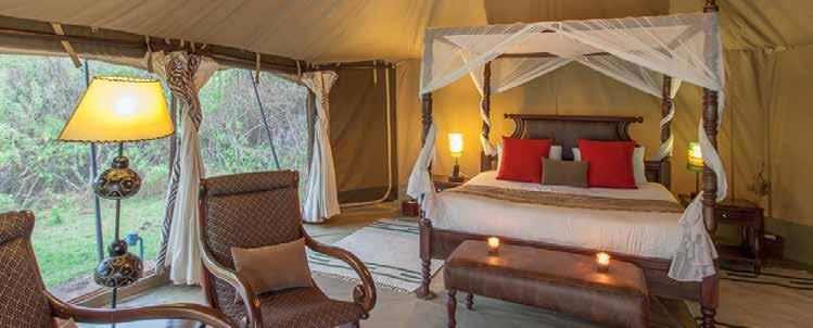 Intrepids has just 30 lovely ensuite tents, a lounge area, bar and swimming pool.