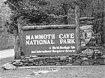 Kentucky for the Nature Lover Mammoth Cave National Park www.mammothcave.