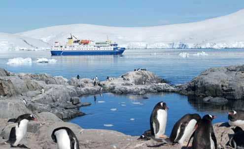 The Classic Antarctica Air-Cruise focusses on exploring the many highlights of the magnificent Antarctic Peninsula, including Paulet Island, Hope Bay, Port Lockroy,