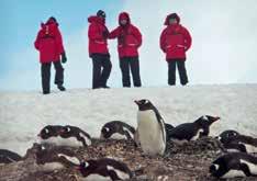 Cruising through the Southern Ocean you will cross the nutrient rich Antarctic Convergence into the cold polar waters of the Antarctic Ocean where you will discover a variety of seabirds, whales and