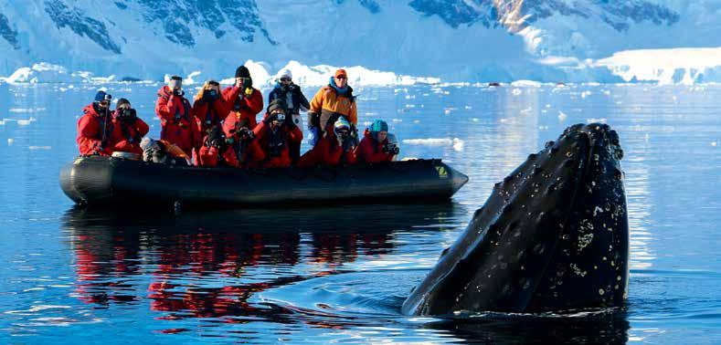 CROSSING THE CIRCLE ANTARCTICA Whale viewing by Zodiac One Ocean CROSSING THE CIRCLE 11, 12, 14 or 15 days Departs ex Ushuaia, Argentina (unless otherwise noted) Venture south towards the Antarctic